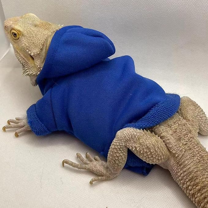 Lizards Clothes for Bearded Dragon - Handmade Cotton Hoodies Warm Sweater Coat Reptiles Apparel Costume Skin Protection Photo for Lizard Bearded Dragon Crested Gecko Chameleon (Blue,Large)