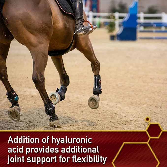 Pro Equinyl Joint Formula with Hyaluronic Acid, 60 Day Supply, 3.75 lb.