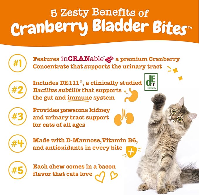 Zesty Paws Cranberry Bladder Bites for Cats - Kidney & Urinary Tract Health - Soft Chews with D-Mannose, Vitamin B6 & L-Arginine - Immune & Gut Support - Bacon - 60 Count