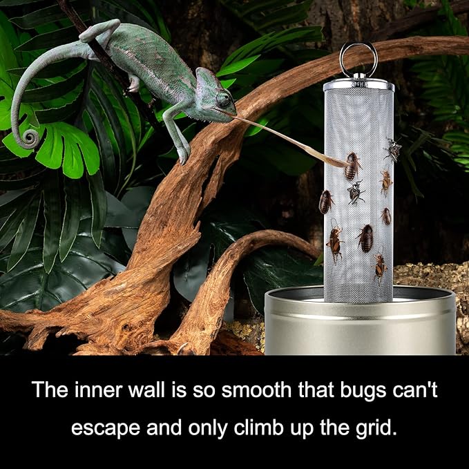 Chameleon Feeding Bowl, Climble Chameleon CageAccseeories Feeder, Fit for Lizard, Gecko, Beared Dragon,Frog, Terrarium and Greenhouse（Silver）
