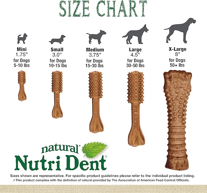 Nylabone Nutri Dent Dog Dental Chews - Natural Dog Teeth Cleaning & Breath Freshener - Dental Treats for Dogs - Filet Mignon Flavor, X-Large (1 Count)