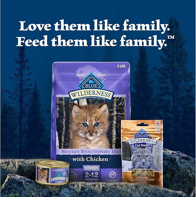 Blue Buffalo Wilderness High Protein Grain Free, Natural Kitten Pate Wet Cat Food Variety Pack, Chicken, Salmon 3-oz (6 Count- 3 of Each Flavor)