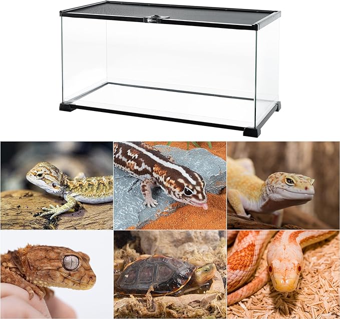 REPTI ZOO Full Glass 15 Gallon Reptile Tank, Medium Reptile Terrarium 24" X 12" X 12" for Gecko Hermit Crab Hognose Snake etc, Top Screen Ventilation & Feeding