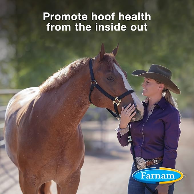 Farnam Horseshoer's Secret Pelleted Hoof Supplements, Promotes healthy hoof growth, maintains hoof walls & supports cracked hooves, 22 lbs., 60 day supply