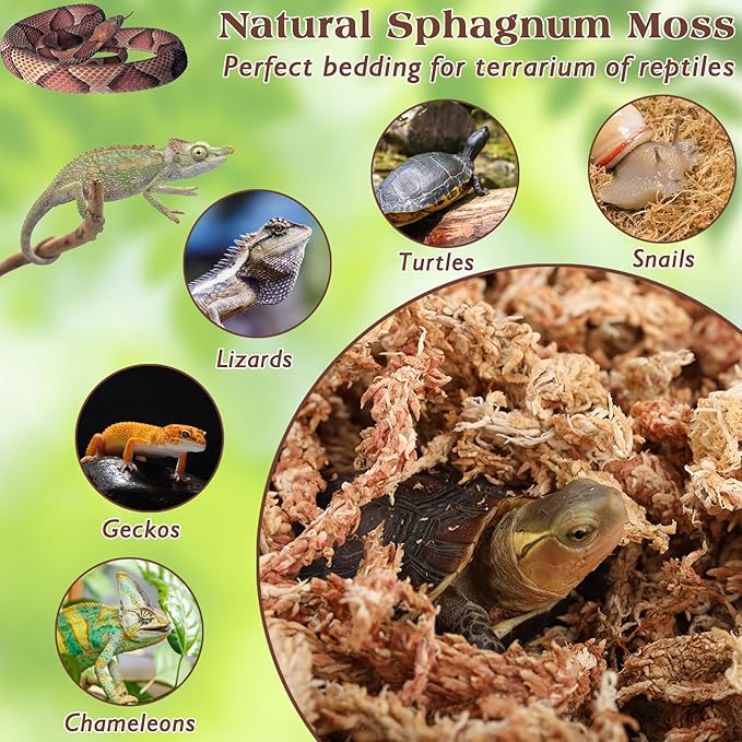 ZeeDix 6OZ Sphagnum Moss for Reptiles, 8QT Premium Dried Moss for Terrarium Long Fibered Leopard Gecko Moss Natural Sphagnum Peat Moss Bedding for Frogs Anoles Snake Turtle Plants