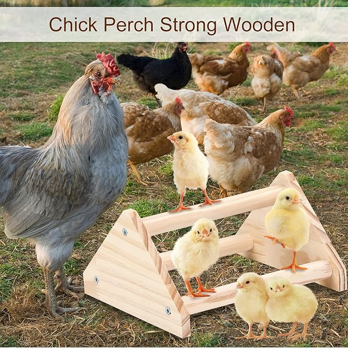 Chicken Perch Strong Pine Wooden Chick Jungle Gym Roosting Bar, Chick Perch Toys for Coop and Brooder for Large Bird Baby Chicks Parrot (Small)