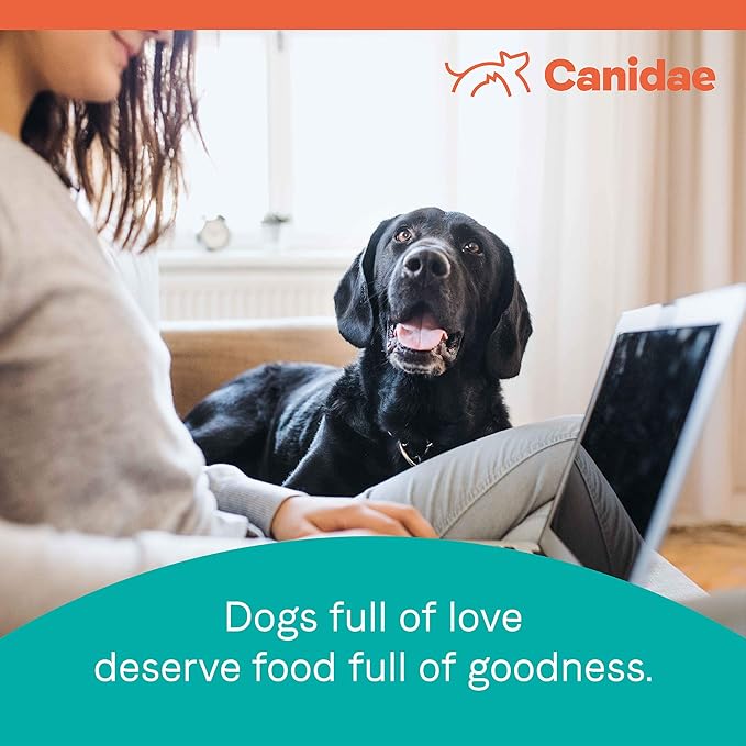 Canidae Pure Limited Ingredient Premium Adult Dry Dog Food, Real Wild Boar & Garbanzo Bean Recipe, 22 lbs, Grain Free