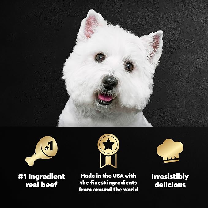 Cesar Adult Wet Dog Food Variety Pack