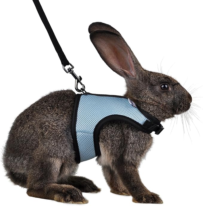 Niteangel Adjustable Soft Harness with Elastic Leash for Rabbits (M, Blue)