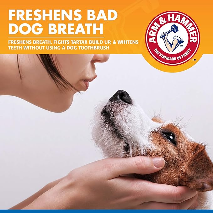 Arm & Hammer for Pets Tartar Control Dental Spray for Dogs | Dog Dental Spray Reduces Plaque & Tartar Buildup Without Brushing | Mint Flavor, 4 Ounces