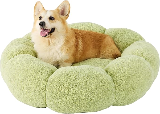 Lesure Calming Large Dog Bed - Flower Donut Round Fluffy Puppy Bed in Plush Teddy Sherpa, Non-Slip Cute Flower Dog Beds, Large Pet Bed Fits up to 100 lbs, Machine Washable, Green 36"