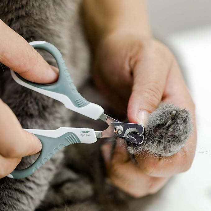 Mr. Pen- Cat Nail Clipper, Cat Nail Trimmers, Cat Claw Clippers, Cat Claw Trimmers, Kitten Nail Clipper, Cat Clippers for Nails, Nail Clippers for Cats, Pet Nail Clippers for Cats, Cat Nail Cutter