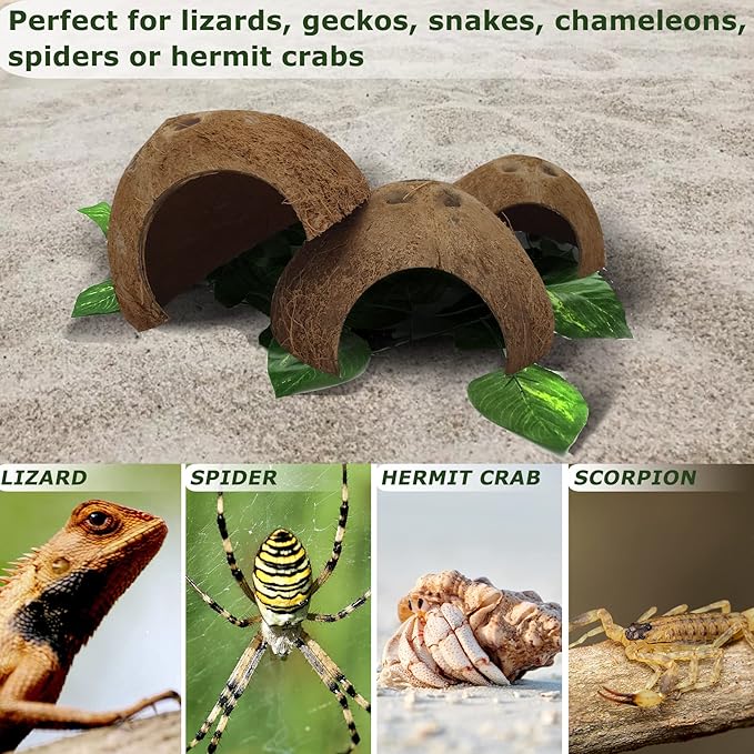 Hamiledyi Reptile Hideouts Natural Coconut Shells Hut Small Animal Hide Cave Hermit Crab Climbing Toys Lizard Habitat Decor Plant Leaves Decoration for Gecko Spider Snake Chameleon (4Pcs)