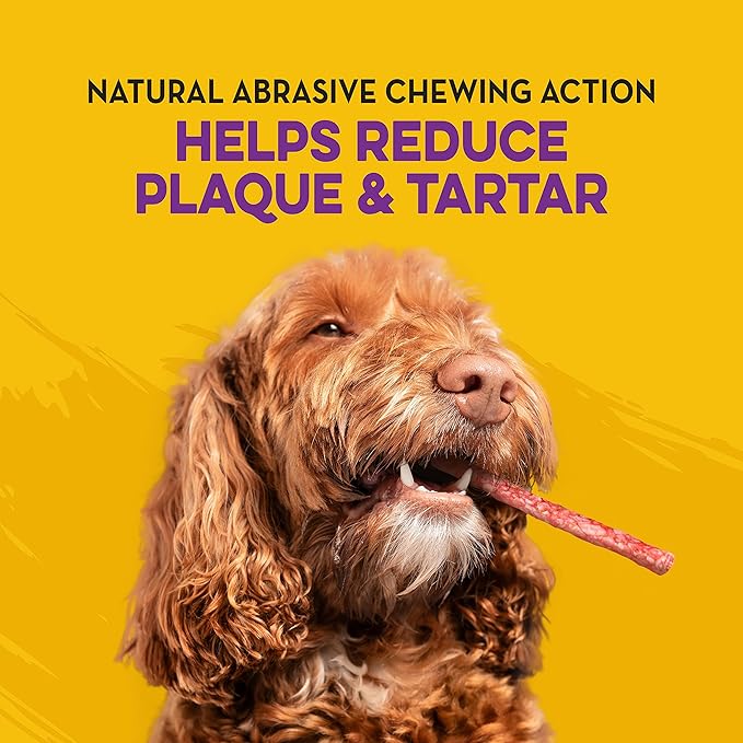 Dingo Non-China Munchy Stix Dog Chews For All Dogs, 50-Count