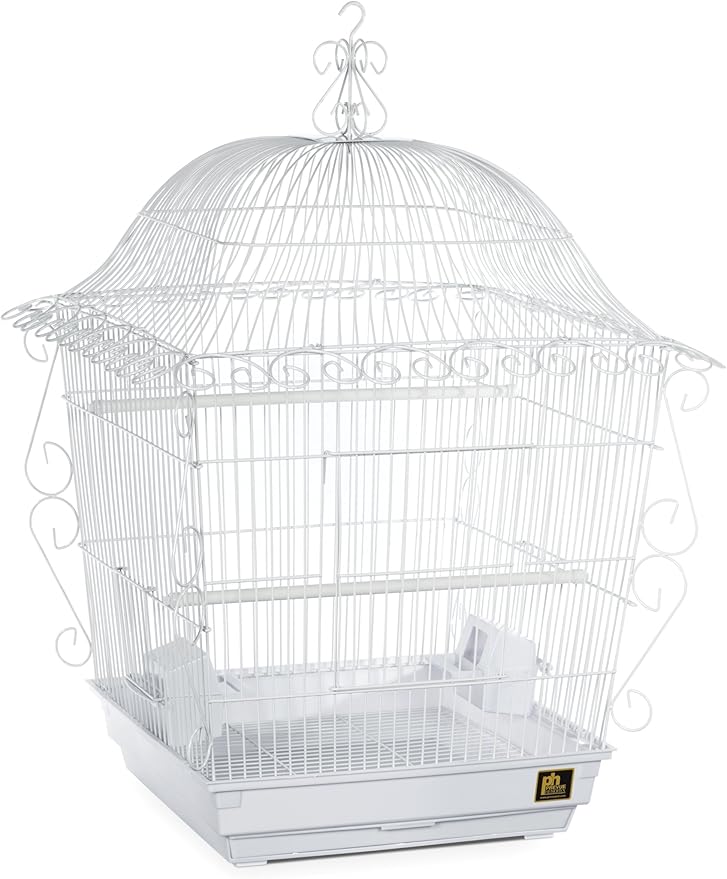 Prevue Pet Products Jumbo Scrollwork Bird Cage 220W White, 18-Inch by 18-Inch by 25-Inch