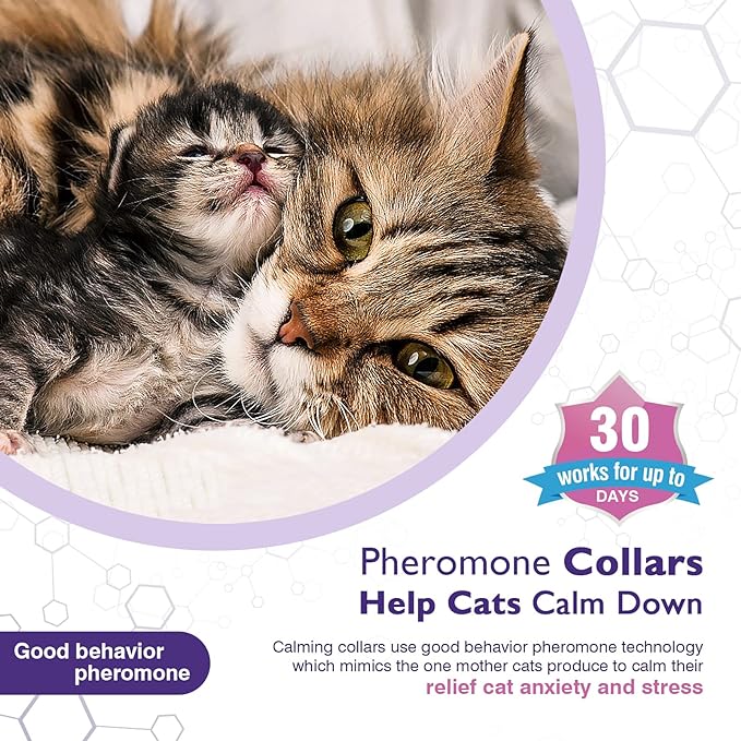 3 Pack Calming Collar Efficient Relieve Reduce Anxiety Stress Pheromones Calm Relaxing Comfortable Breakaway Collars Adjustable for Small, Medium Large Cat, Kittens