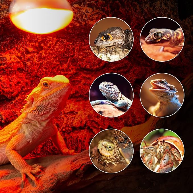 REPTI ZOO 25W Nano Reptile Infrared Heat Lamp 2 Pack,Amphibian Heat Emitter Infrared Basking Spot Light Bulb for Small Geckos,Turtle,Bearded Dragon,Lizard,Tarantulas