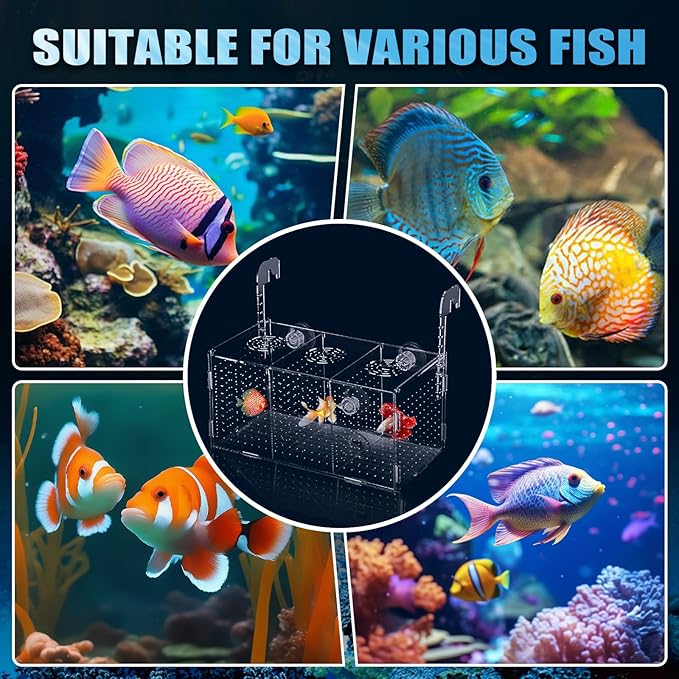 Fish Breeding Box, Acrylic Fish Isolation Box,Fish Separator for Aquarium, Aquarium Incubator with Suction Cups for Newborn Fry Shrimp Guppy Clownfish Aggressive Fish(11.5" x 6" x 6")