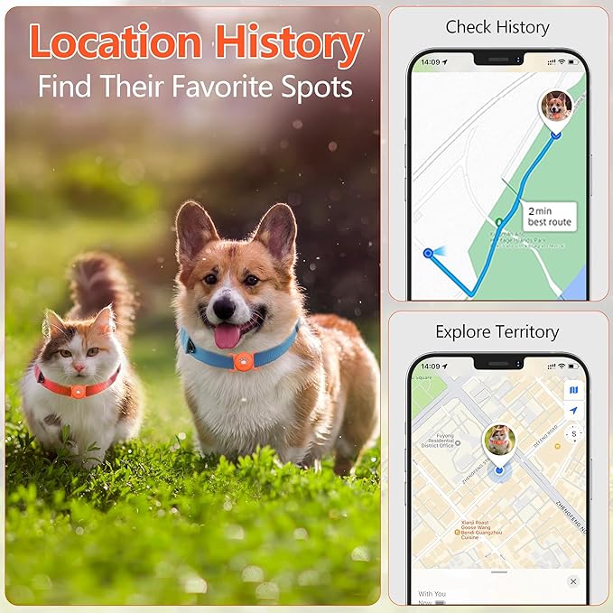 MODUS GPS Tracker Dog Collar Holder, Mini GPS Cat Dog Tracker Case, Real-Time Location Pet Tracking Smart Tracker (iOS Only), No Monthly Fee Cat Collar Holder(Locator included) (Orange)