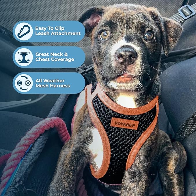 Voyager Step-in Air Dog Harness - All Weather Mesh Step in Vest Harness for Small and Medium Dogs by Best Pet Supplies - Orange Trim, XS