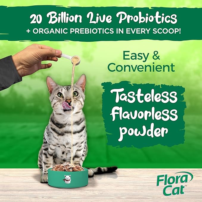 Vital Planet - Flora Cat Probiotic Powder Supplement with 20 Billion Cultures and 10 Diverse Strains High Potency Probiotics for All Cats for Feline Digestive and Immune Support 30 Scoops 3.92 oz