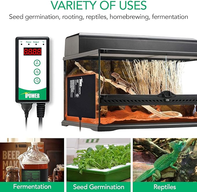 Simple Deluxe 50W Reptile Ceramic Heat Bulb No Light Emitting with 5.5 Inch 60W Dome Light Clamp Lamp Fixture and Digital Thermostat Controller, for Incubating Chicken & Amphibian Pet