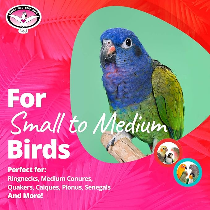 Super Bird Creations SB741 Seagrass Mini Activity Wall with Colorful Foraging Toys for Parrots, Medium Size, 9” x 7” x 2”