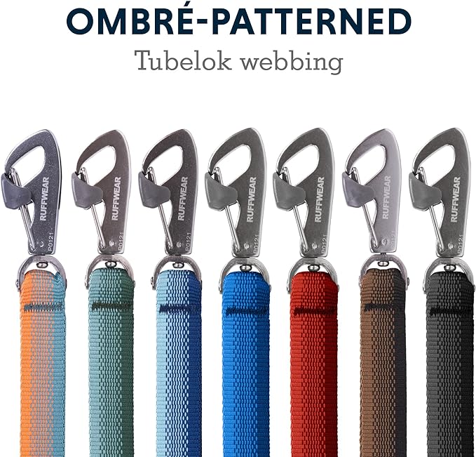 Ruffwear, Front Range Dog Leash, 5 ft Lead with Padded Handle for Everyday Walking, Coastal Fade