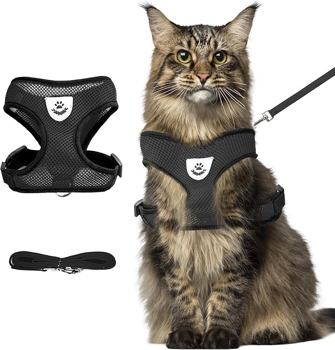 Summer cat Chest Harness and Leash, Anti-Escape Adjustable Soft mesh cat Leash and Chest Harness Set for All Types of Cats cat Vests (Size XL,Black)