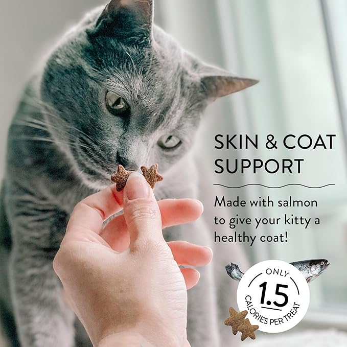 Shameless Pets Crunchy Cat Treats - Kitty Treats for Cats with Skin & Coat Support, Natural Ingredients Kitten Treats with Real Salmon, Healthy Flavored Feline Snacks - Yam Good Salmon, 3-Pk