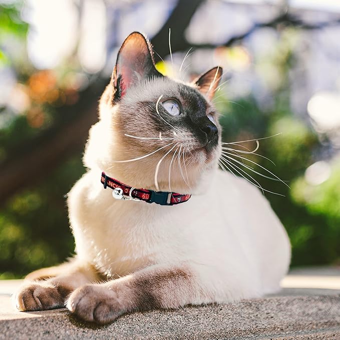 NFL CAT Collar San Francisco 49ers Satin Cat Collar Football Team Collar for Dogs & Cats. A Shiny & Colorful Cat Collar with Ringing Bell Pendant