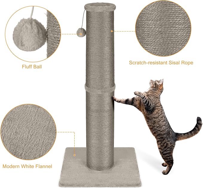 Cat Scratching Post 32 Inch High, 5.5 Inch Large Diameter Natural Sisal Cat Scratch Post, Scratch-Resistant and Durable Tall Cat Scratcher for Indoor Cats, Protect Your Furniture, Gery