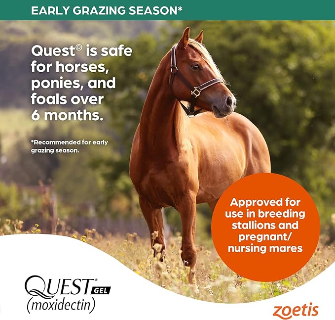 Quest Gel Moxidectin Horse Dewormer, Early Grazing Season recommended for Horses and Ponies 6 months and older, 0.5oz Sure-Dial Syringe