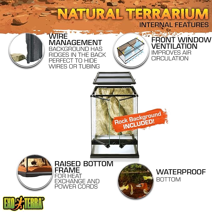 Exo Terra Glass Terrarium Kit, for Reptiles and Amphibians, Mini Tall, 12 x 12 x 18 inches, PT2602A1
