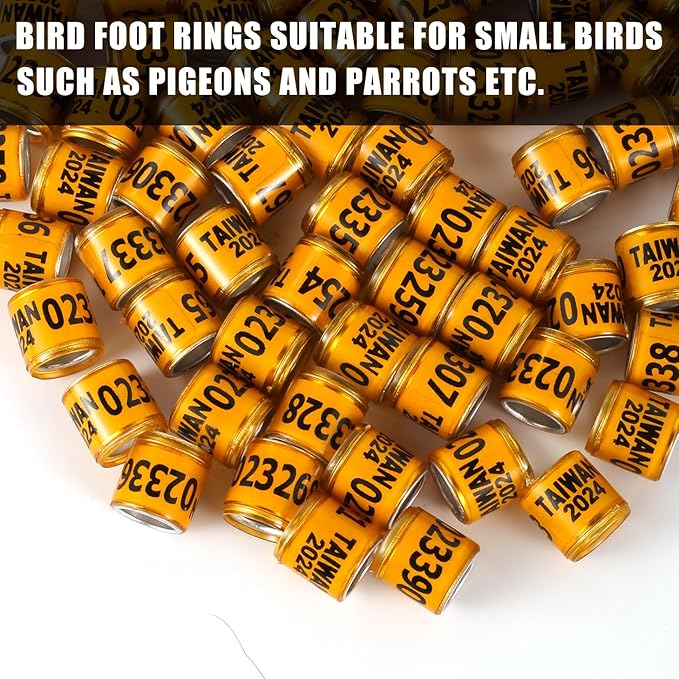 50Pcs Multicolor Aluminium Pigeon Leg Rings with 2024 Taiwan Training Identify Birds Foot Ring Identify 8mm Plastic Bird Leg Bands (Orange)