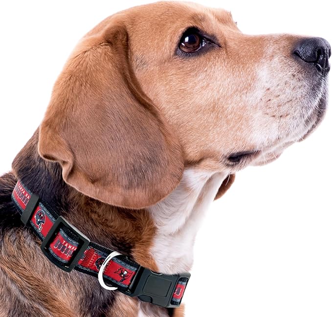 Pets First NFL Tampa Bay Buccaneers Licensed PET COLLAR, Small - Heavy-Duty, Strong, and Durable Dog Collat. Available in 32 Football Teams