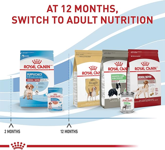 Royal Canin Size Health Nutrition Medium Puppy Chunks in Gravy Wet Dog Food, 4.9 oz pouch (10-pack)