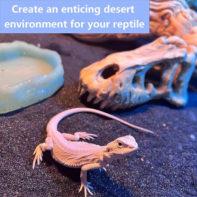 BNOSDM Reptile Sand Bearded Dragons Substrate Sands Lizard Terrarium Bedding Desert Blend for Snakes Geckos Chameleon Tortoise Frogs Scorpion Invertebrates Amphibian(Black)