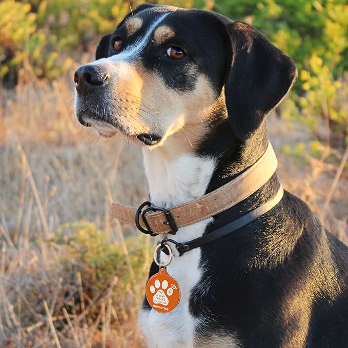MYLUCKYTAG NFC&QR Code Personalized Dog Cat Tag, Online Pet Profile, Scan QR Receive Instant Pet Location Alert Email