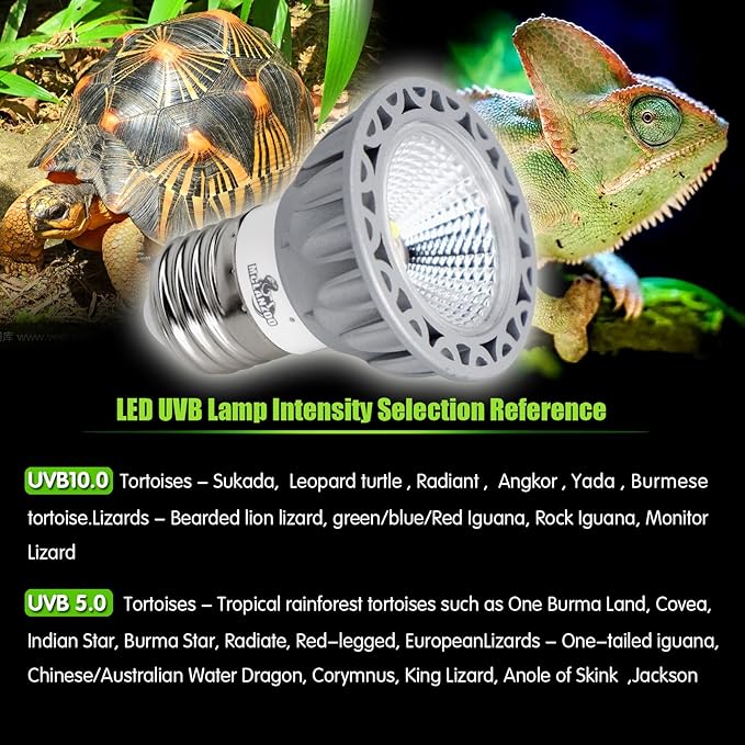 UVB Reptile Light High Intensity LED Bulb 3W 5.0 Turtle Calcium Lamp Full Spectrum Sun Heat Lamp for Rainforest Reptile,Turtle,Bearded Dragons and Plants