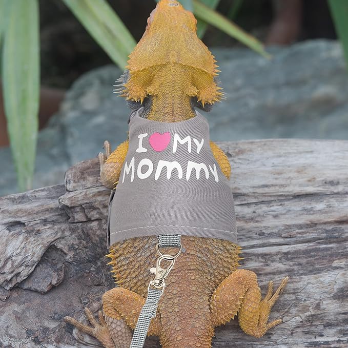 Bearded Dragon Harness and Leash Set - Cute Lizard Reptile Small Animal Adjustable Harness Clothes with Short Leash for Walking Outdoor