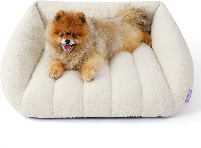 Lesure Orthopedic Dog Bed Sofa for Small Dogs & Cats, Waterproof Dog Couch with Removable Washable Cover, Cute Aesthetic Pet Sofa Couch with Egg Crate Foam(24" x 18" x 9.5", Cream)