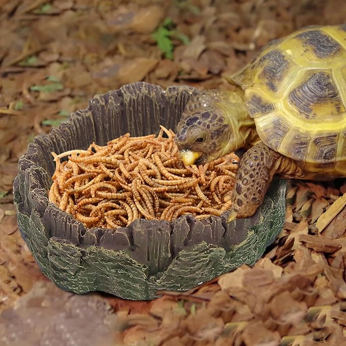 4 Pack Reptile Feeding Dish Reptile Food Water Bowl with Reptile Feeding Tongs Reptile Plate Dish for Feeding Tortoise Dragon Leopard Gecko Lizard, Brown