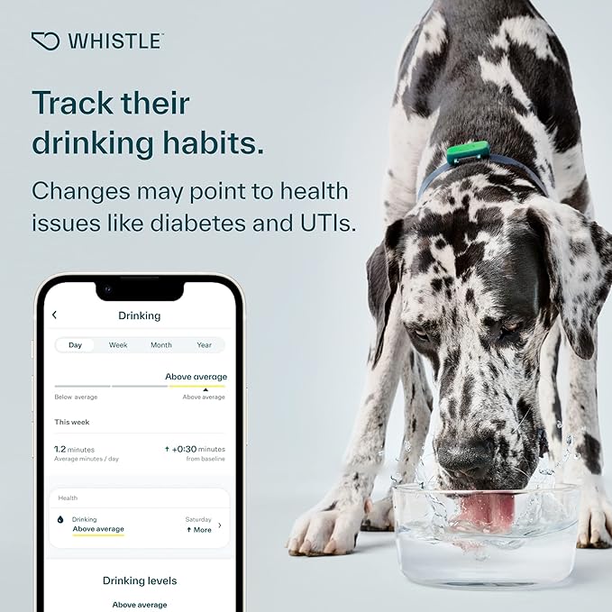 Whistle Health Smart Device | Dog Health and Fitness Tracker | Track Scratching, Licking, Drinking, Eating, Sleeping, and Activity, Green