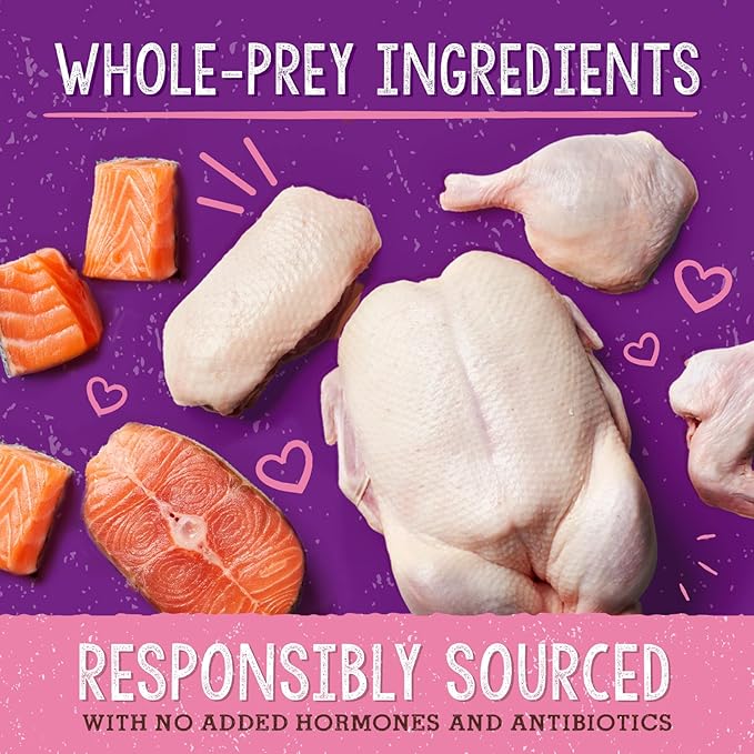 Stella & Chewy's Stella's Solutions Skin & Coat Boost Cage-Free Duck & Wild-Caught Salmon Dinner Morsels Freeze-Dried Raw Cat Food, 13 oz.