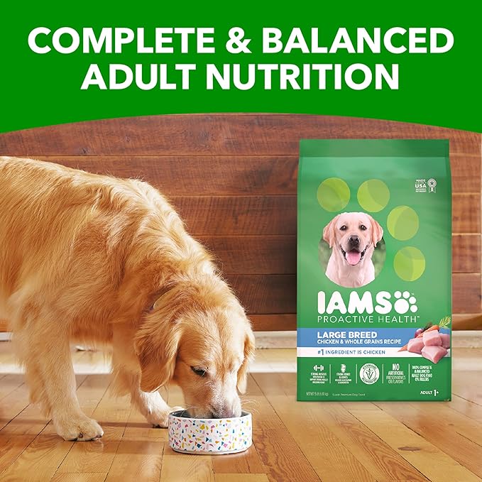 IAMS Adult High Protein Large Breed Dry Dog Food with Real Chicken, 40 lb. Bag