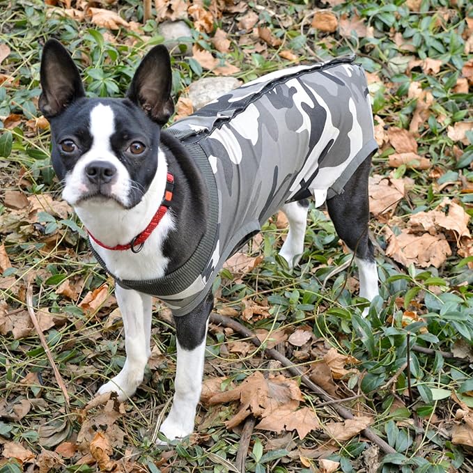 Dog Recovery Suit Abdominal Wound Puppy Surgical Clothes Post-Operative Vest Pet After Surgery Wear Substitute E-Collar & Cone(XL, Camouflage)