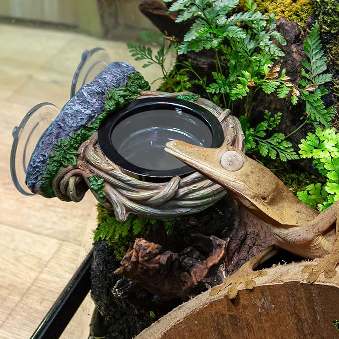 REPTI ZOO Crested Gecko Feeding Ledge, Reptile Water Food Dish for Bearded Dragon Lizard Snake Turtle, Vine Reptile Feeder Bowl Terrarium Tank Decor Accessories