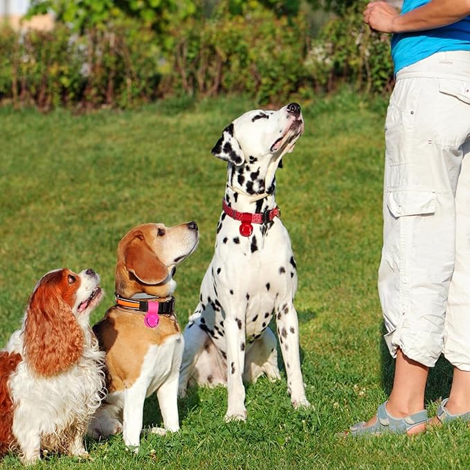 SCENEREAL Large Dog Collar Bell, 2 Pack Dog Bell for Collar, Noise Maker Extra Loud Anti-Theft Bell for Training, Hiking, Walking, Hunting, Pet Tracker, Save Birds & Wildlife