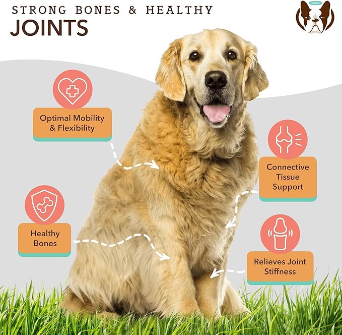 Natural Dog Company Hip & Joint Chews, Chicken Liver & Turmeric Flavor, with Glucosamine Chondroitin for Dogs, Maintains Bone and Joint Health, Supplements for Seniors and Puppies, 180 Count